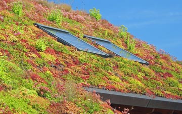 New Thundersley living roof systems